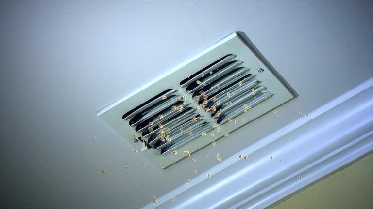 Best HVAC System Cleaning  in Santa Cruz, CA